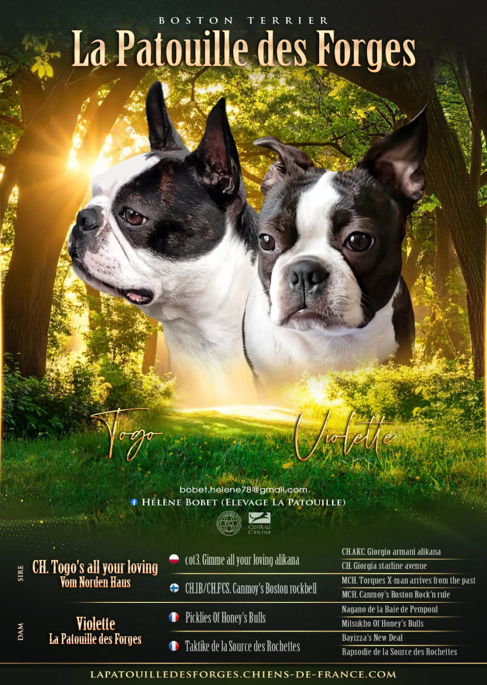 Mariage Violette et Togo